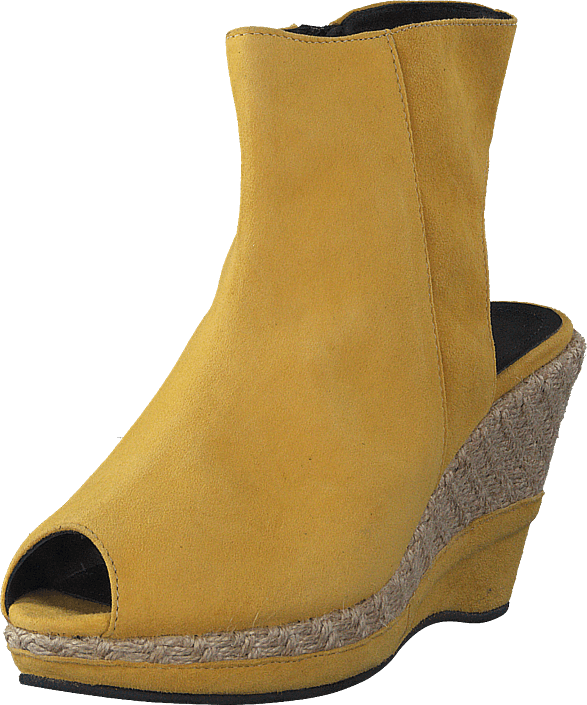 Gardenia - Cipro Yellow