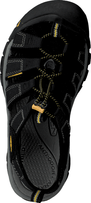 Keen - Newport H2