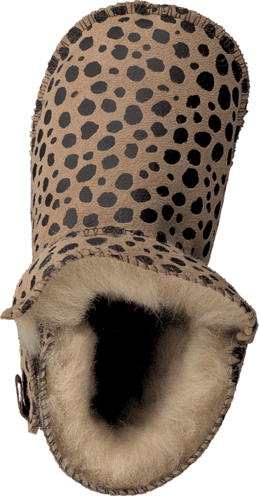Shepherd - Borås Leopard