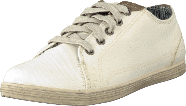 Sneaky Steve - Essex Low Off White Canvas