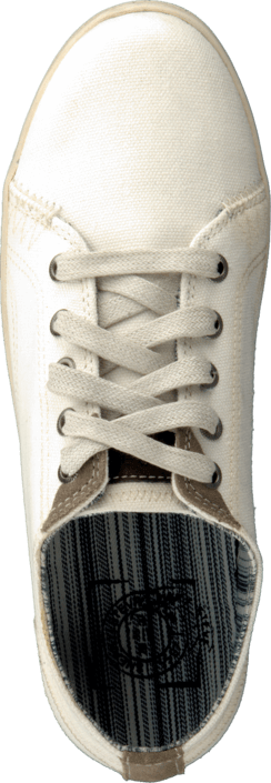 Sneaky Steve - Essex Low Off White Canvas
