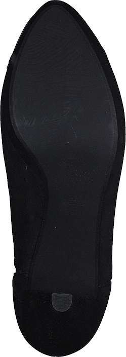 Black Lily - Knightdale Black