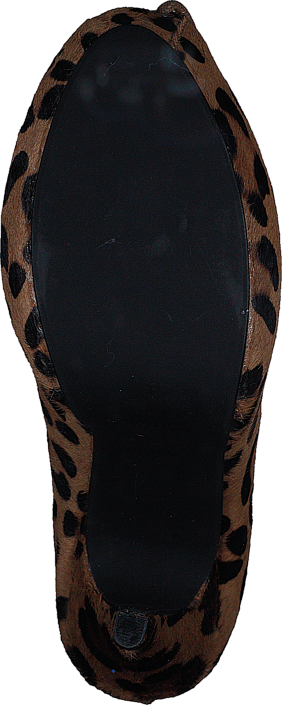 Friis & Company - Lindsay Leopard
