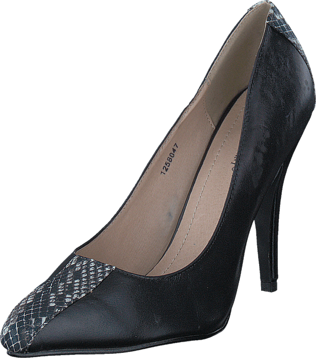 Friis & Company - Lorine Black
