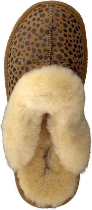 Shepherd - Jessica Leopard