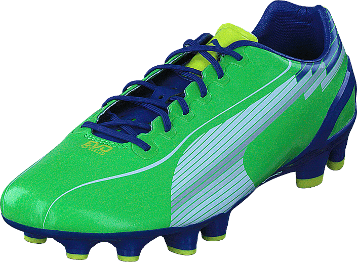 Puma - Evospeed 1 FG Jasmine Green