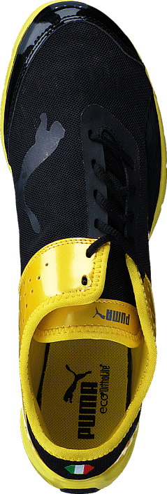 Puma - Future Cat SuperLT SF