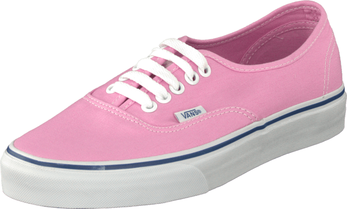 Vans - U Authentic Prism Pnk/Trwht