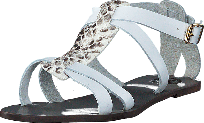 ATP - Yara Snake