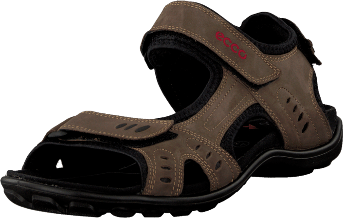 Ecco - All Terrain Lite Espresso