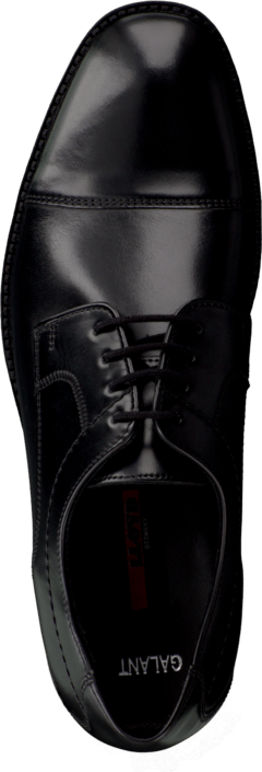 Lloyd - Galant Black