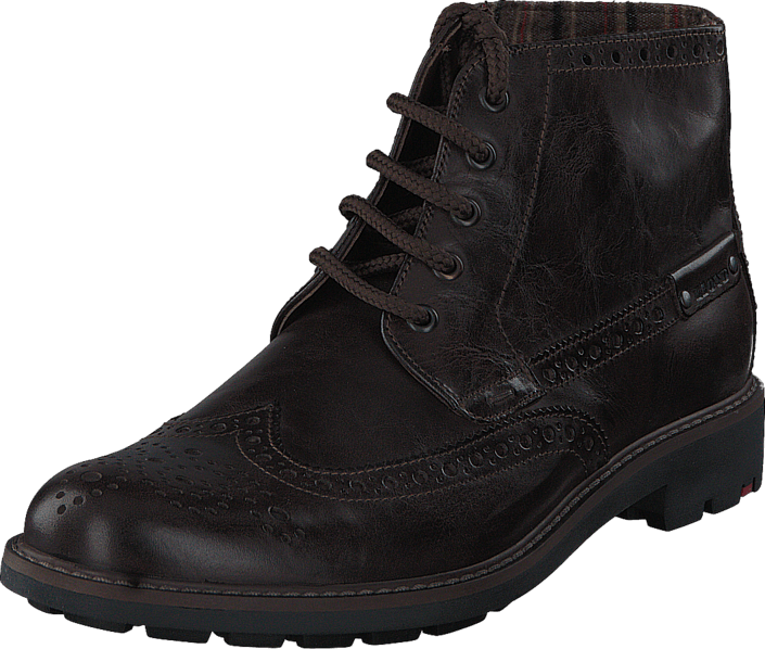 Lloyd - Gavino Ebony