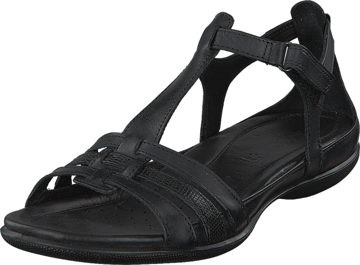 Ecco - Flash Black