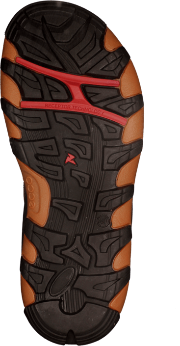 Ecco - Terra VG Sandal Brown