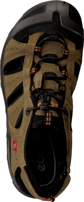 Ecco - Terra VG Sandal Brown