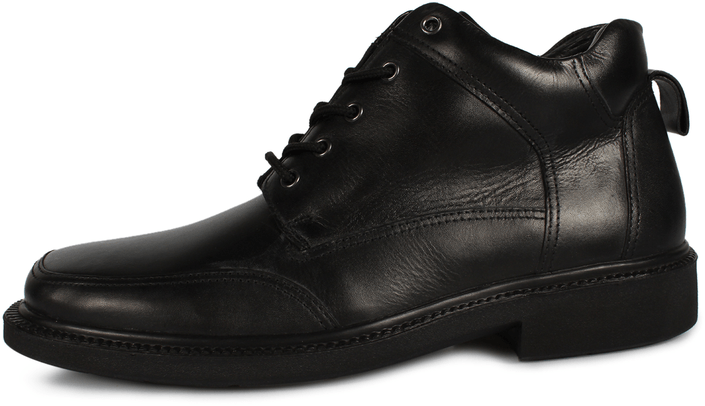 Valontano - Bradshaw Black