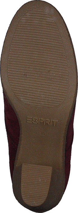 Esprit - Mariella Lu Bootie