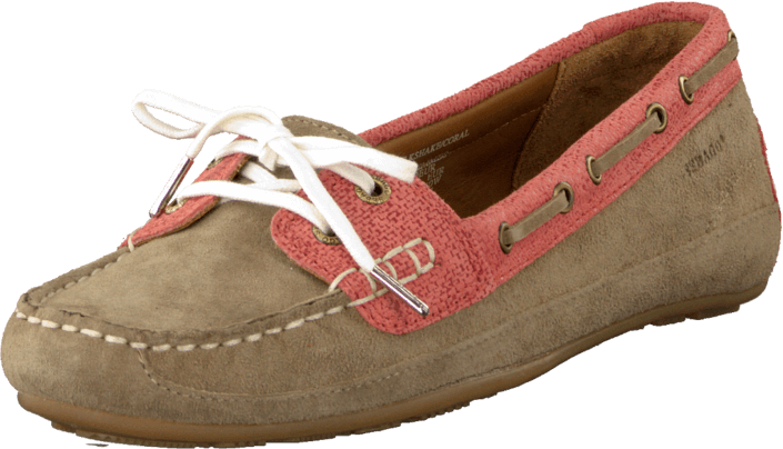Sebago - Bala