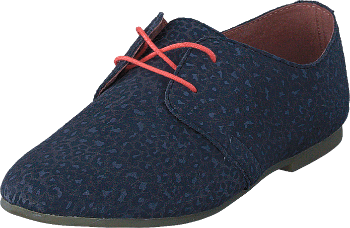 Shoe The Bear - HK
