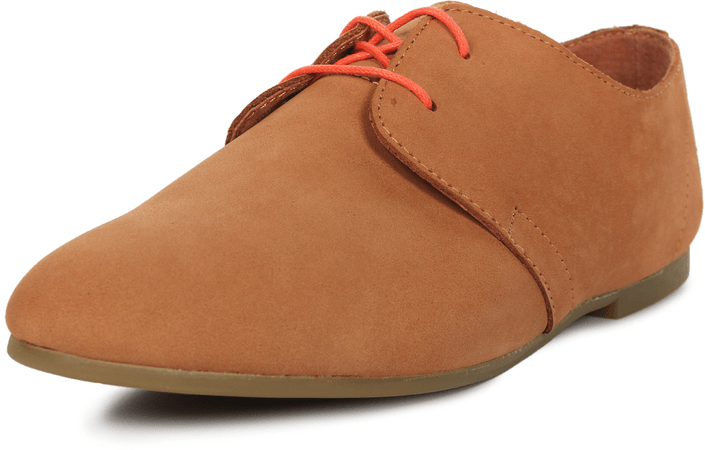 Shoe The Bear - HK