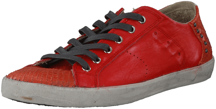 Crime - Model 2131