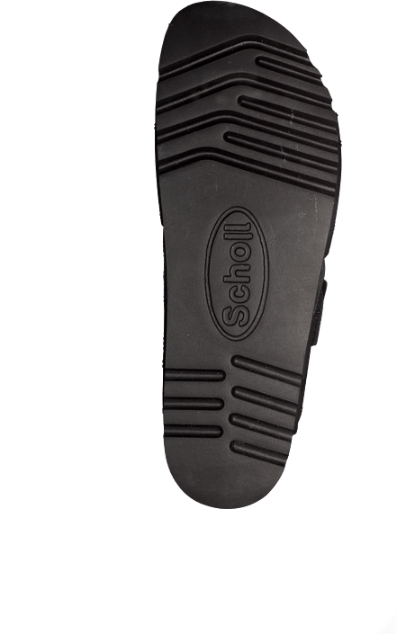 Scholl - Moldava WG Ad Oiled