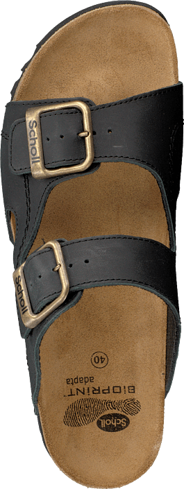 Scholl - Moldava WG Ad Oiled