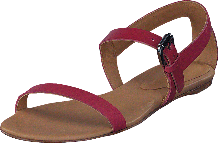 Hoss - Intropia Sandal