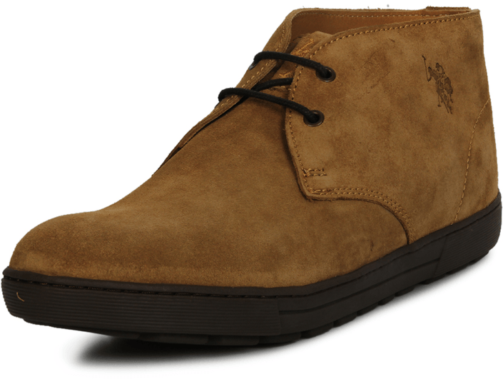 U.S. Polo Assn - Cole