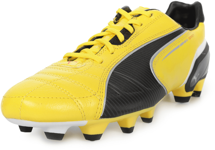 Puma - Spirit FG
