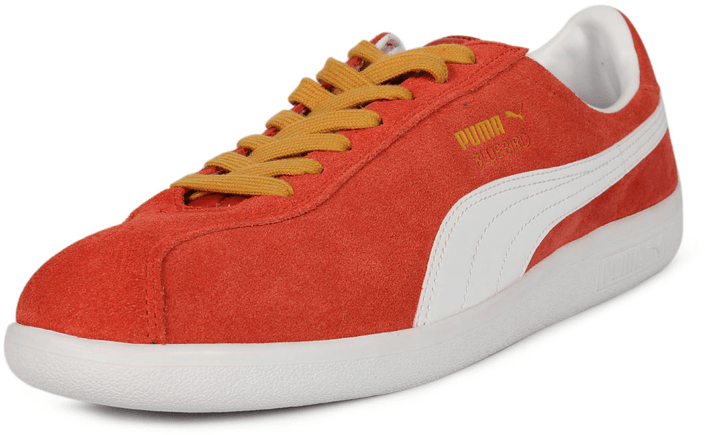 Puma - Bluebird