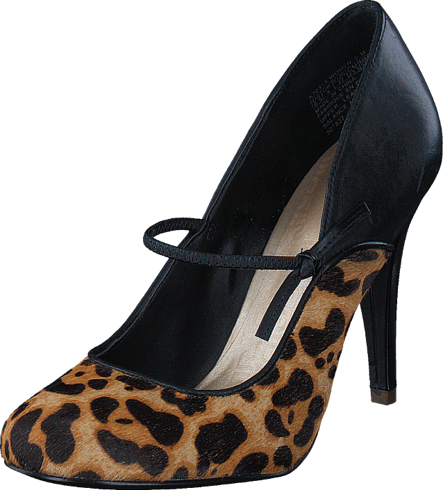 Rockport - Presia