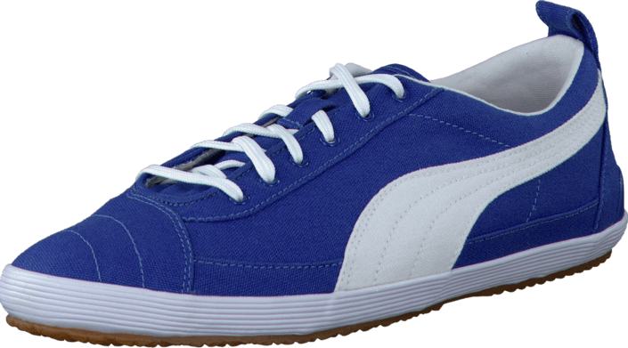 Puma - Serve pro canvas