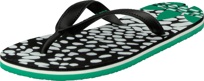 adidas Originals - Adisun W Core Black/Surf Green