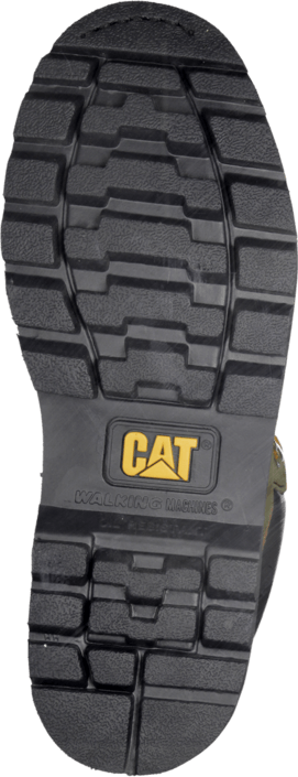 CAT - Colorado Avocado Dependable