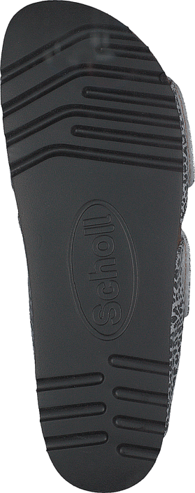 Scholl - Aalim Leopard