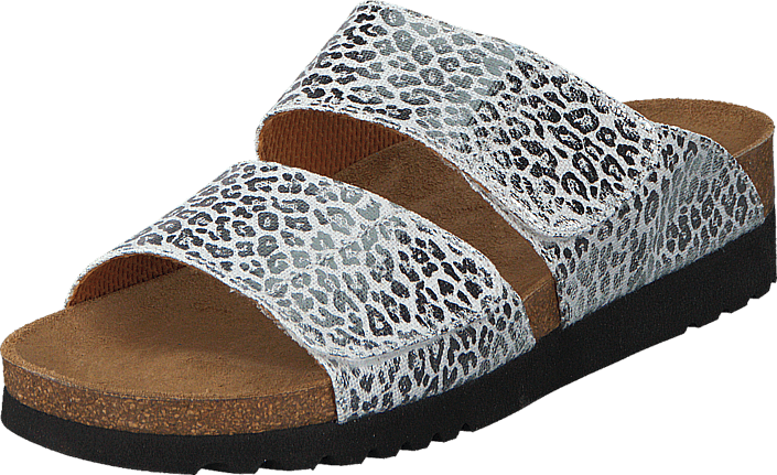 Scholl - Aalim Leopard