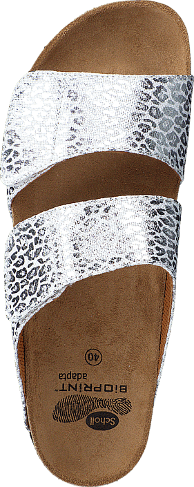 Scholl - Aalim Leopard