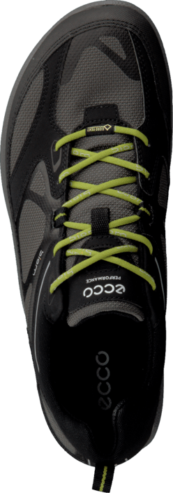 Ecco - Biom Ultra Black