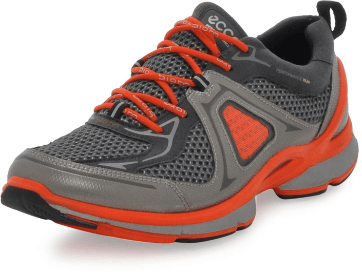 Ecco - Biom Evo Trainer Buffed Silver/Dark Sha/Meadow