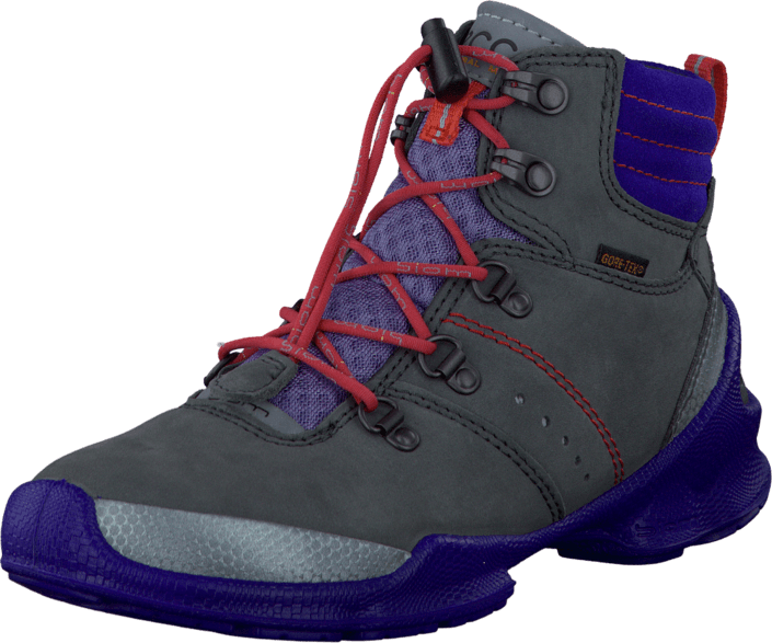 Ecco - Biom Train kids Buffed Silver/Dark Shadow Iris