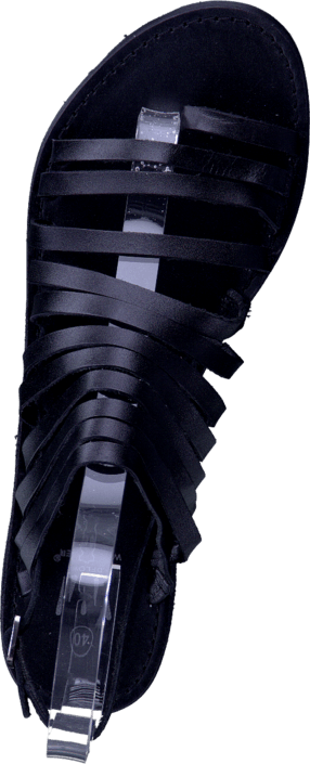 Wildflower - Tova Black