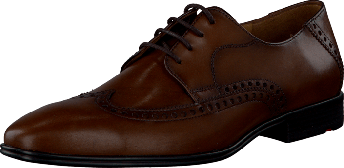 Lloyd - Hollis Cognac (light brown)