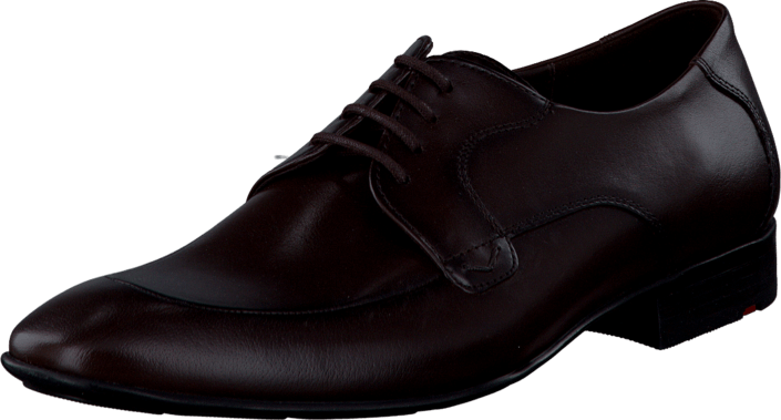 Lloyd - Joyner Tdm (red brown)