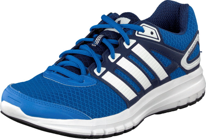 adidas Sport Performance - Duramo 6 M Royal/Ftwr White