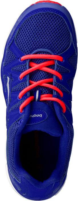 Bagheera - Omega III D.Violet/Coral