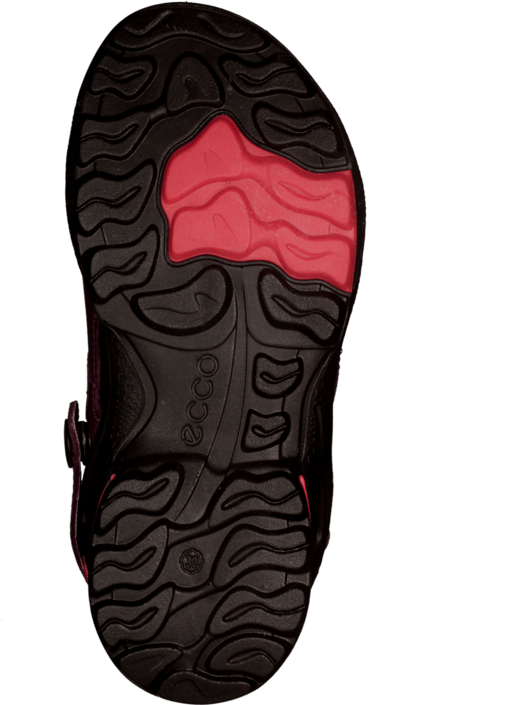 Ecco - Biom Sandal Purple