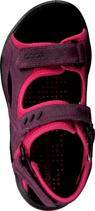 Ecco - Biom Sandal Purple
