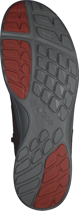 Ecco - Terracruise Birch/ Black