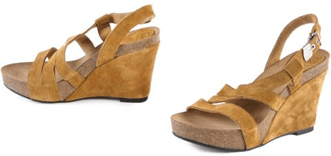 Scholl - May